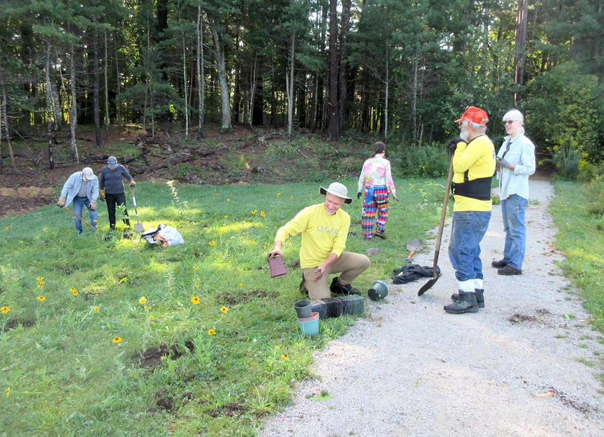 Pollinator plants being installed by Friends of Harold Parker State Forest – plants provided by Oakhaven Sanctuary, Native Plant Nursery & Consulting