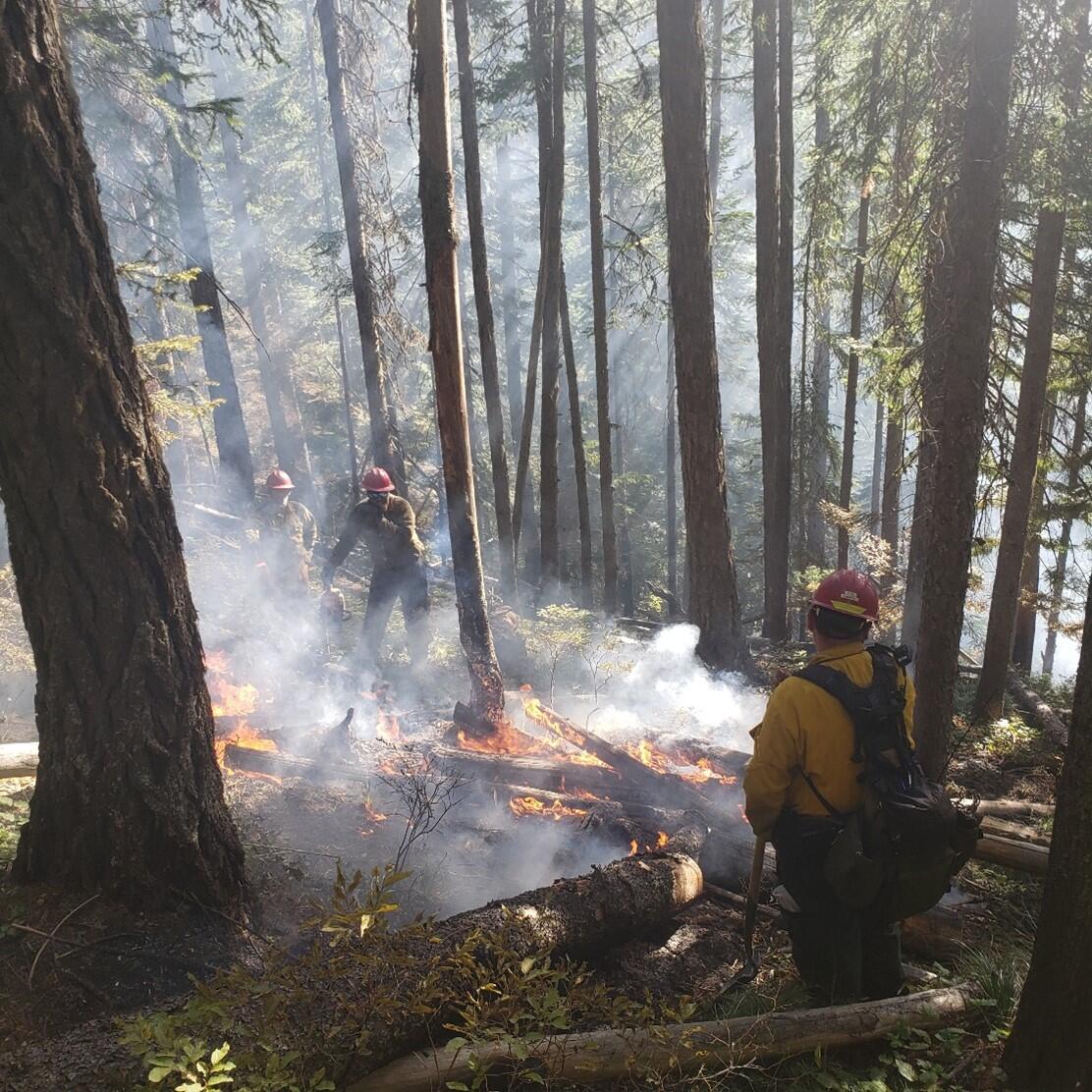 MAS#1 Crew extinguishing a hot spot at Trestle Creek Wildfire, Idaho. Photo: D. Bove, MassWildlife