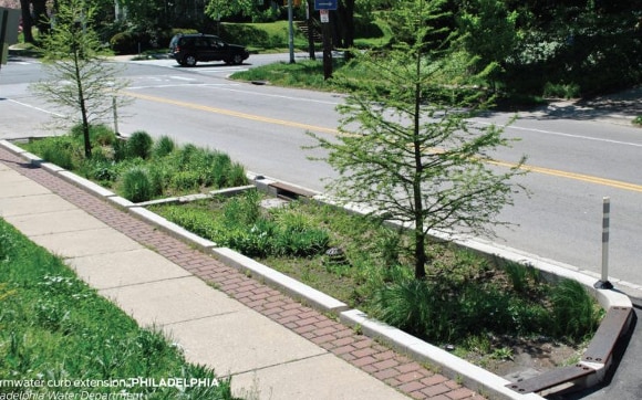 Landscape Curb extension on side of two lane road