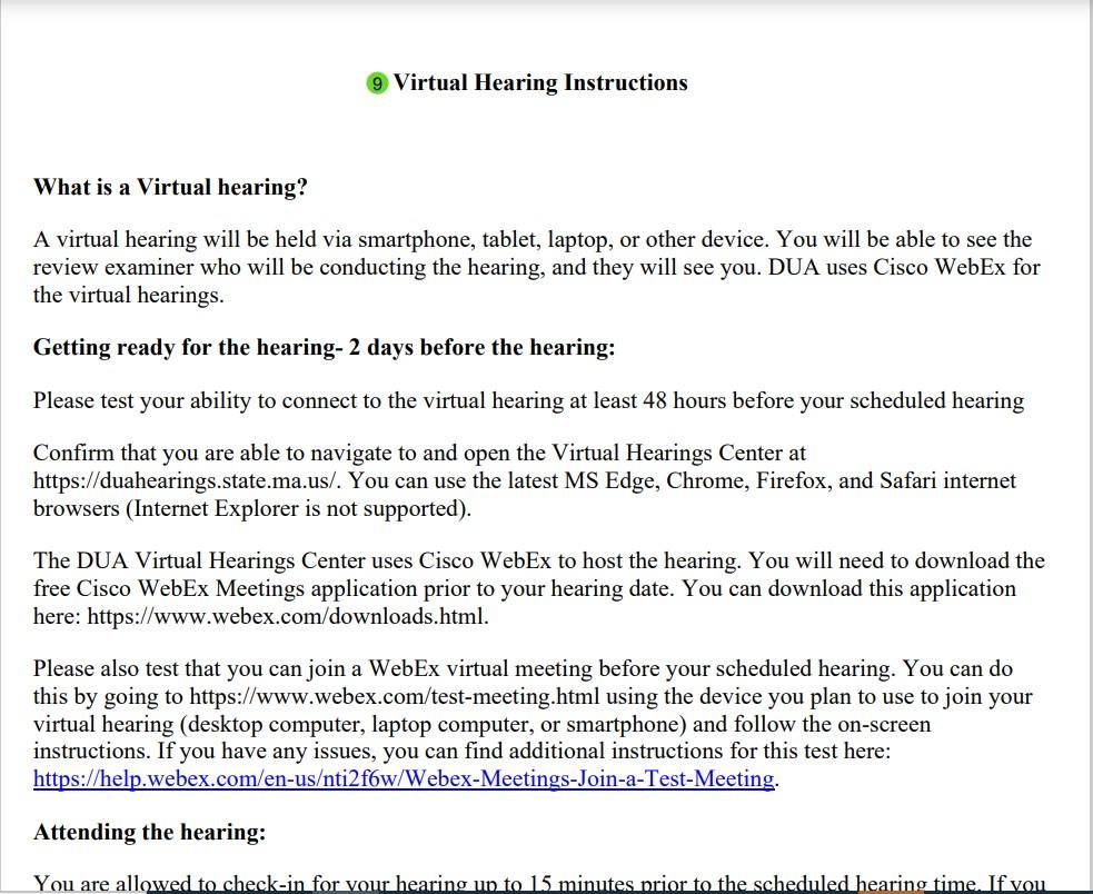 Virtual Hearing Instructions