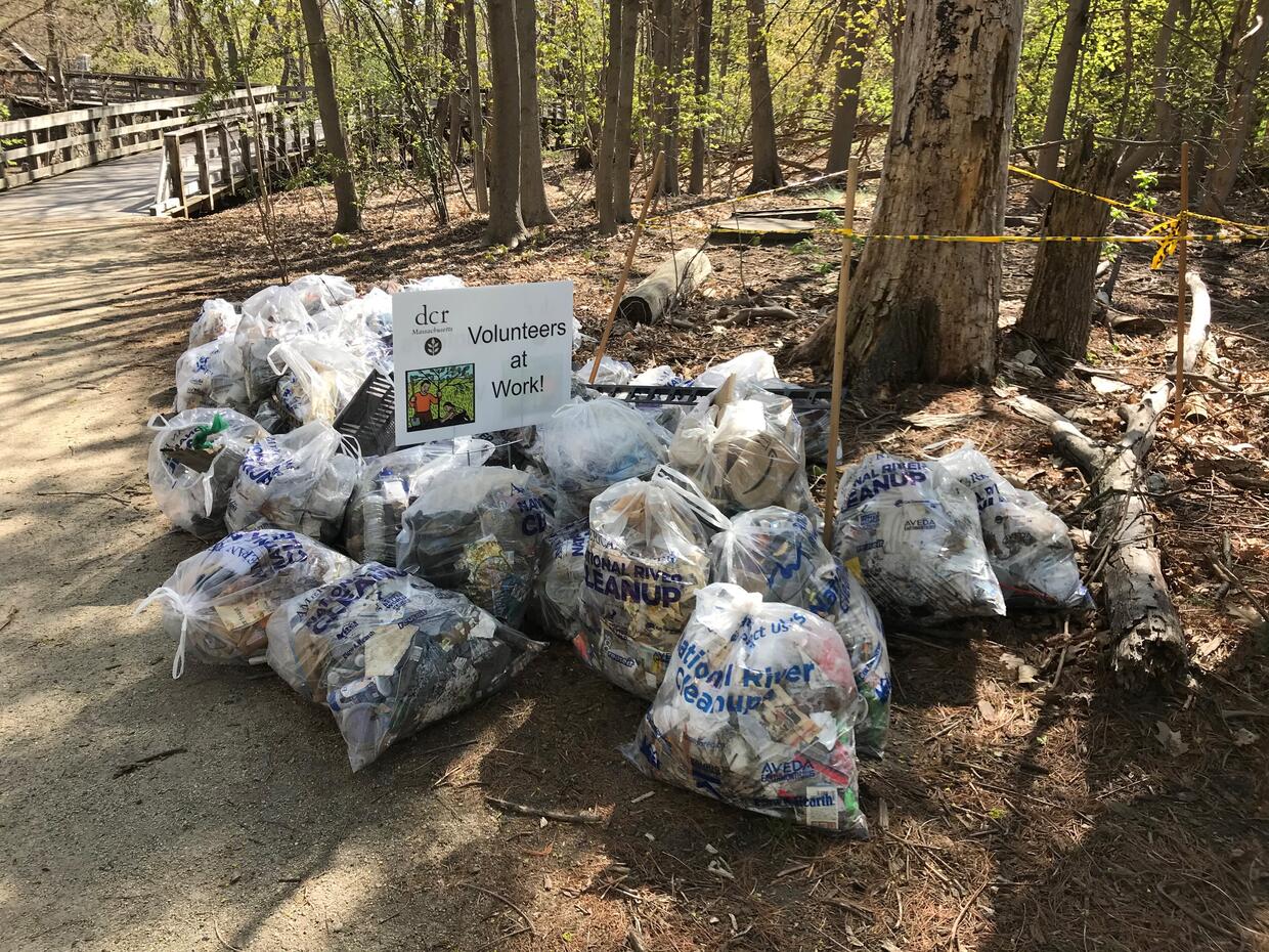 volunteers at work