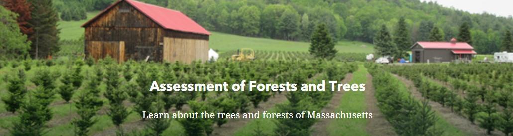 Forest Action Plan Story Map