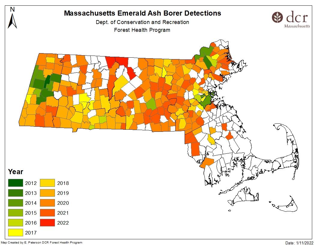 Emerald Ash Borer Detections as of January 2022