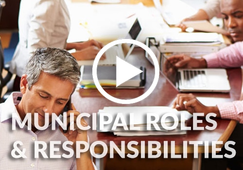 Municipal Finance Roles & Responsibilities