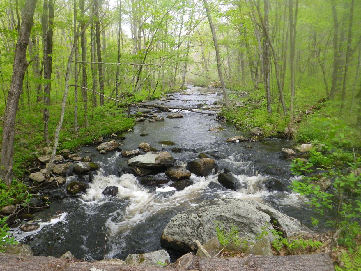 Stream flowing on Watershed Preservation Restriction held by DCR