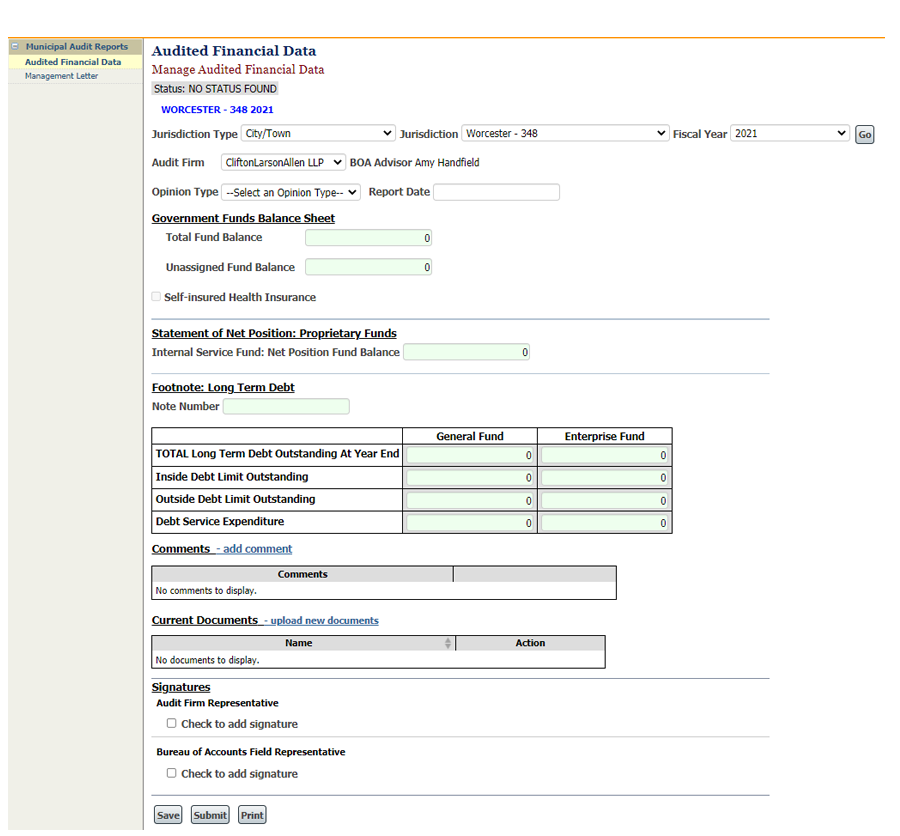 Entering Municipal Audit Data