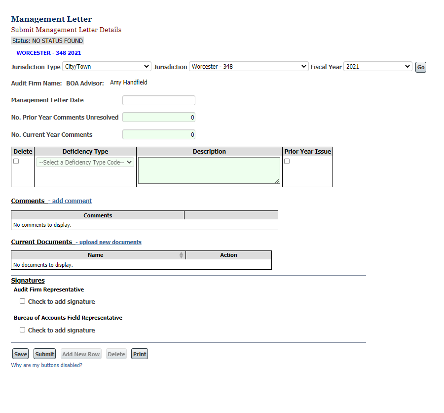 Entering Municipal Audit Data