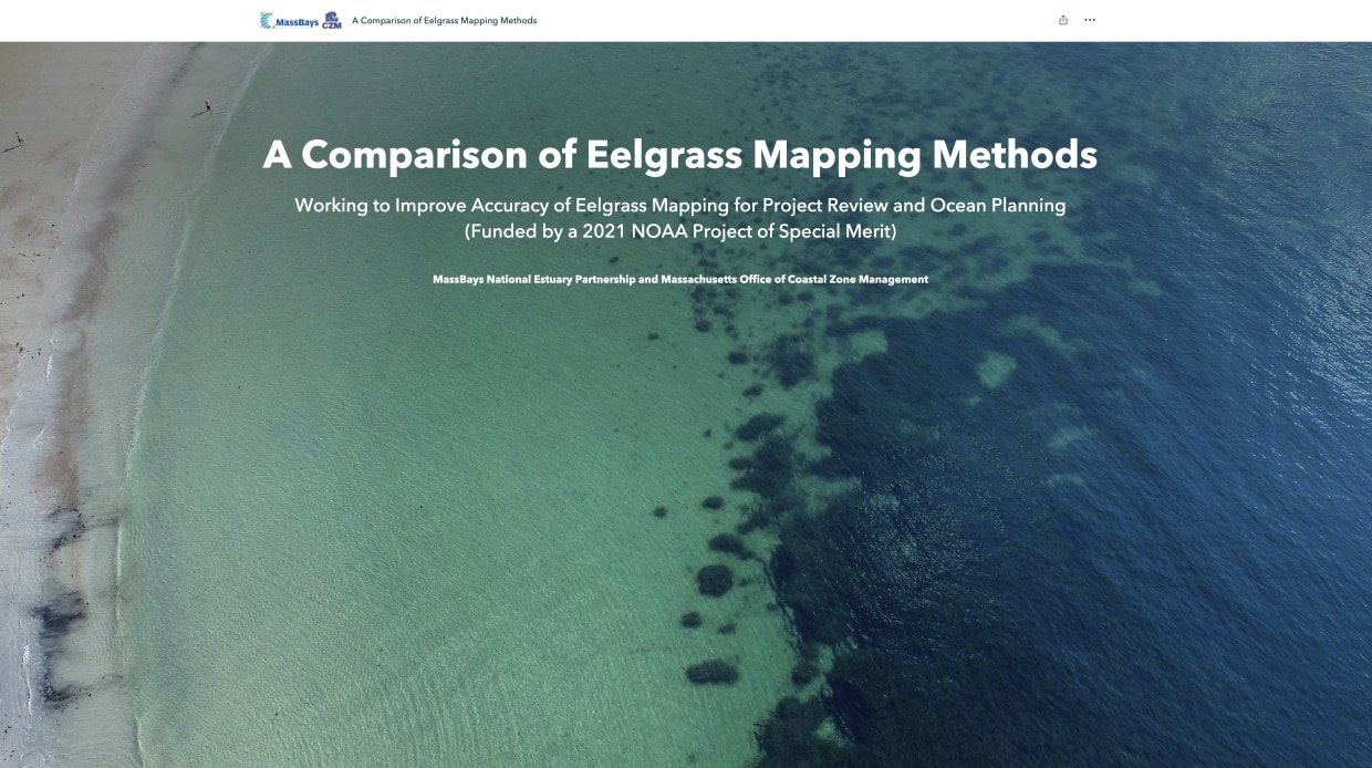 eelgrass mapping story map - launch here