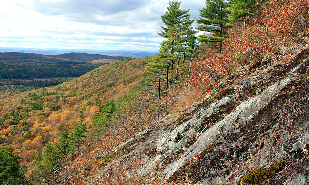 Rock Outcrops, Cliffs and Talus