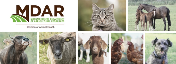 MDAR Animal Health banner image with farm and domestic animals 
