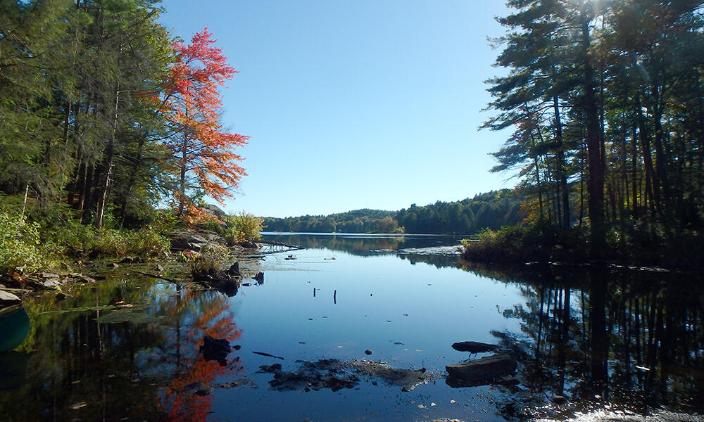 Shallow Isolated Pond