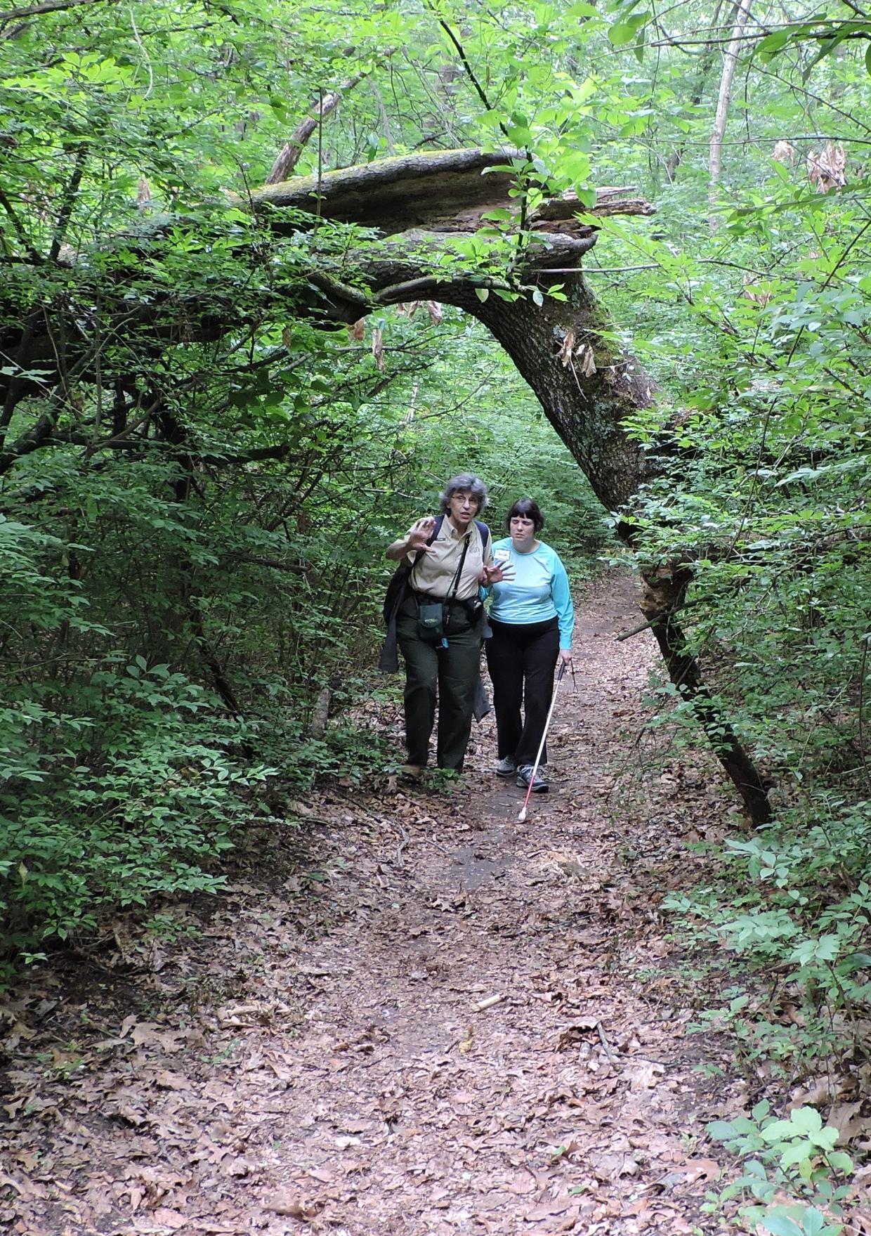 A DCR staff person walks next to a hiker using a white cane, with their arm held out to guide the hiker.