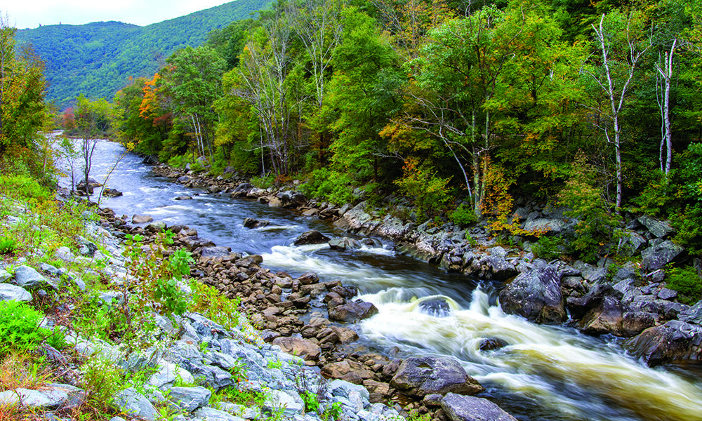 Steep Cold River