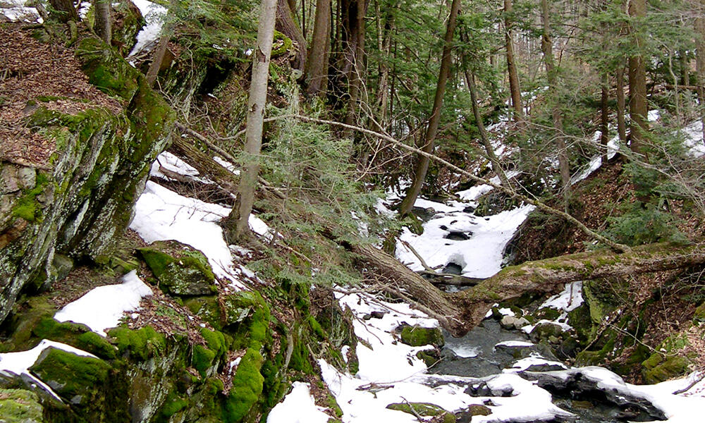 Steep Cold Stream