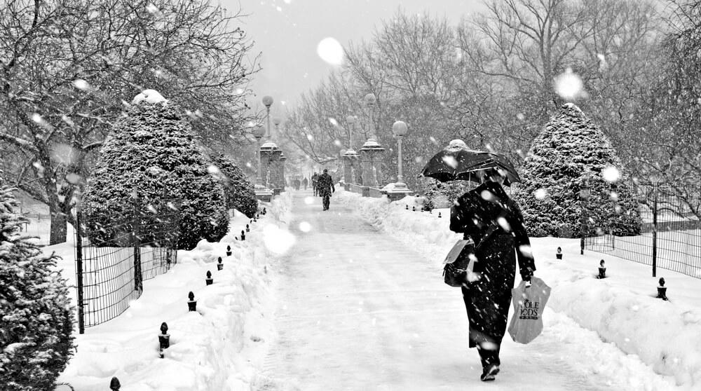 A photo of people walking down a sidewalk in a park on a snowy day