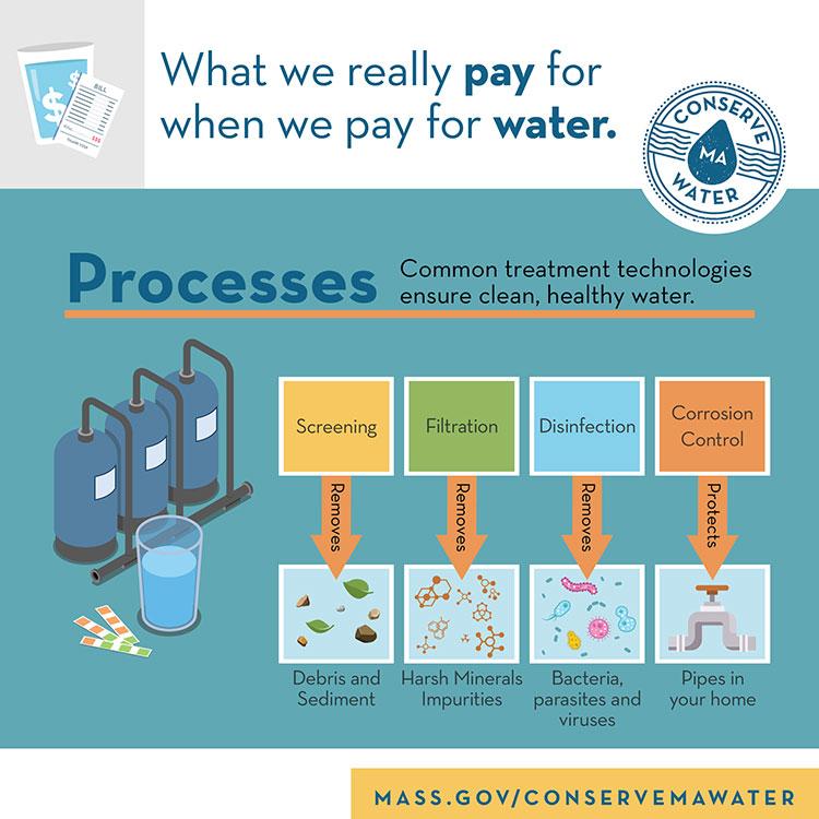 Inforgraphic - What we really pay for when we pay for water