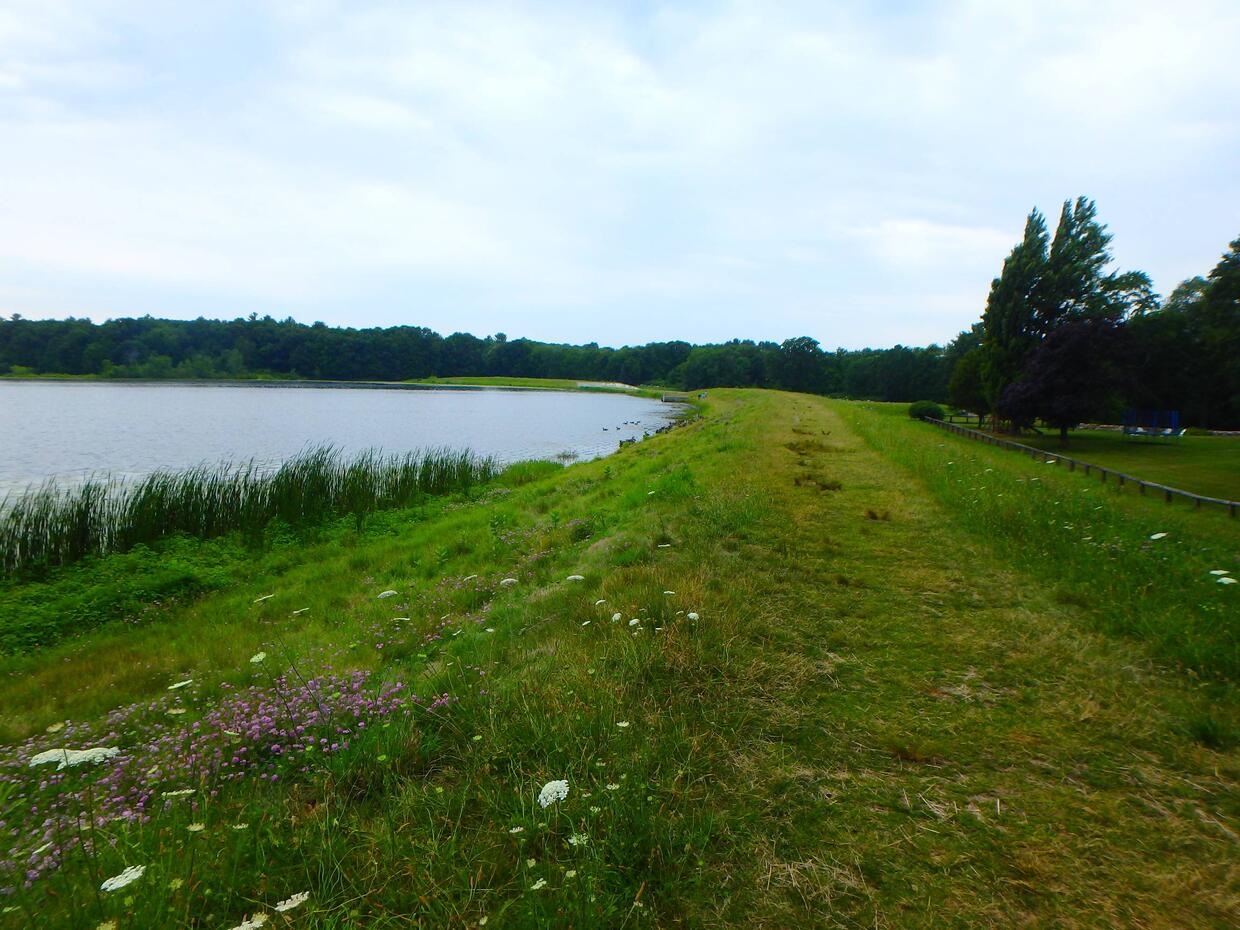 grass dike looking over the water