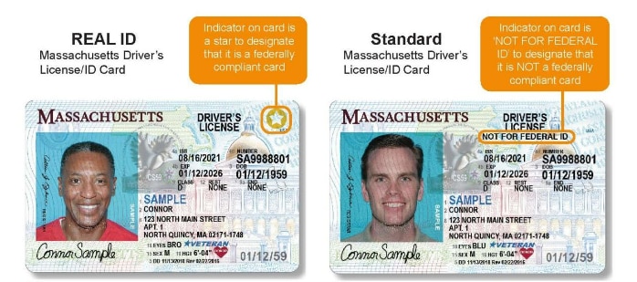 REAL ID v Standard Comparison