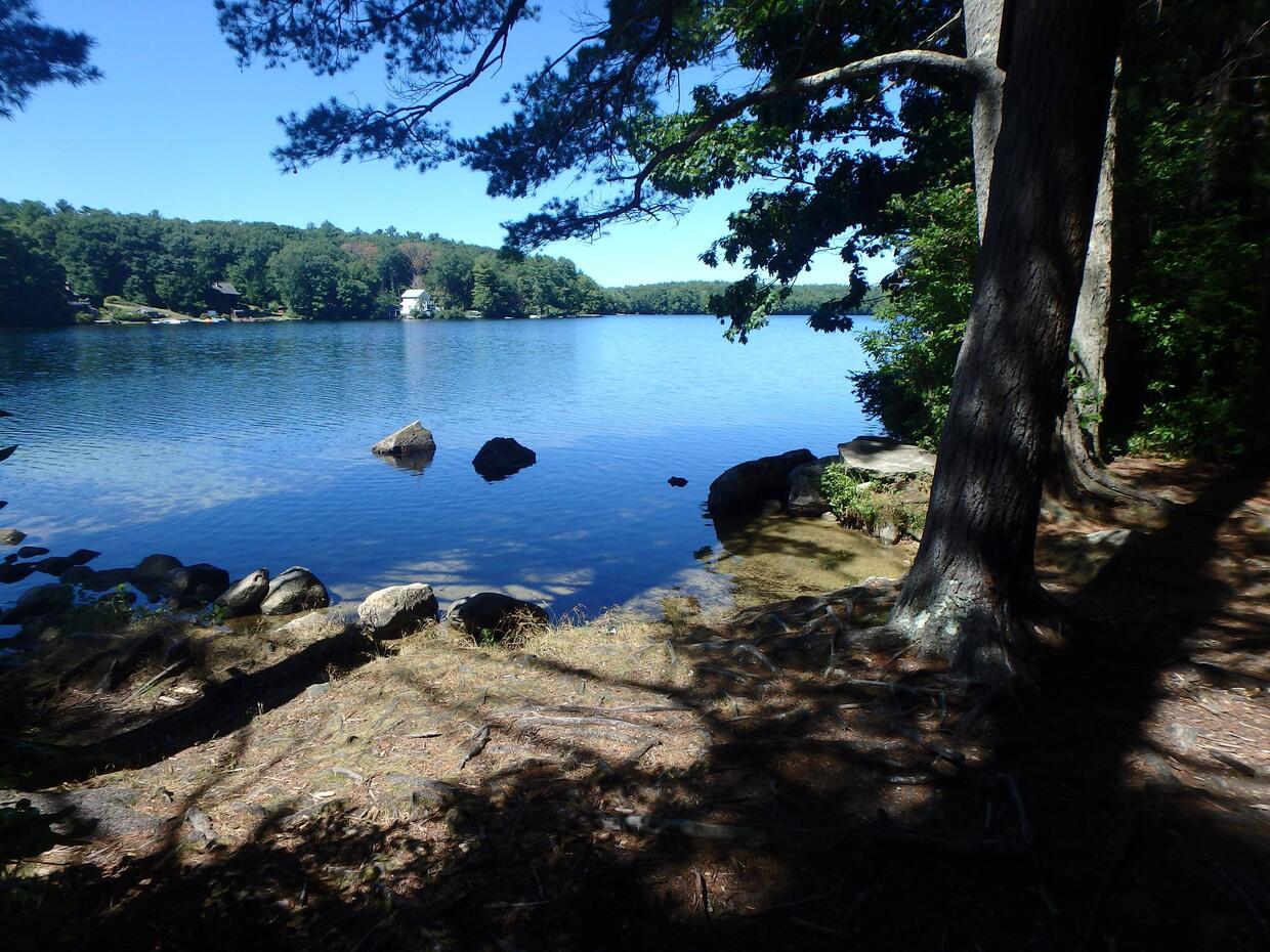 sore fishing spot on shore with trees and rocks
