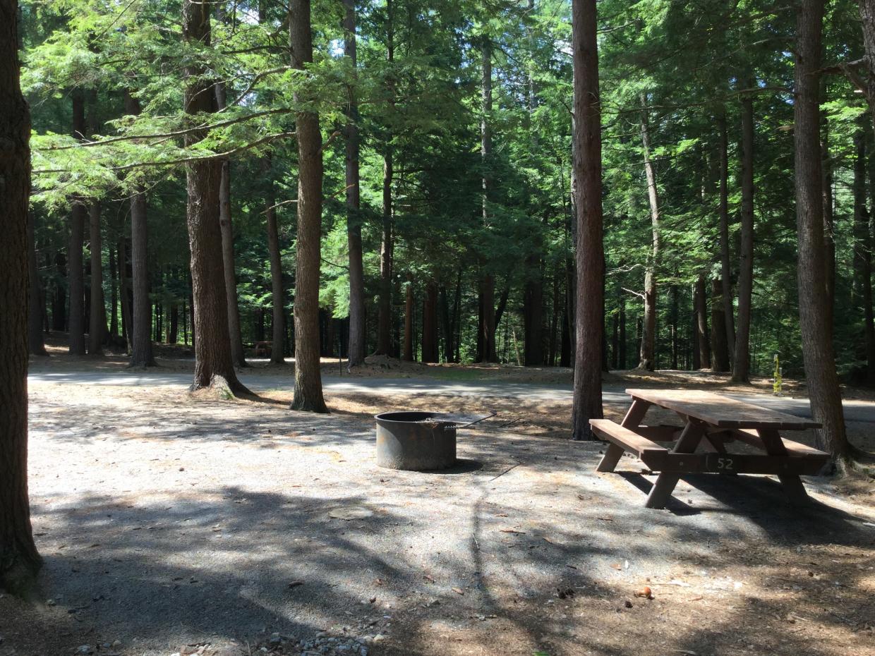 A flat campsite in the woods. The campsite has an accessible picnic table and a tall fire ring.