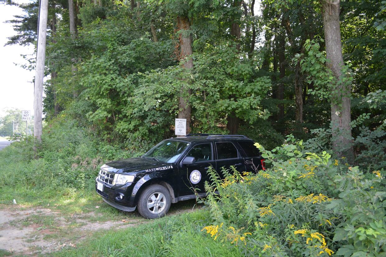 Lake warner access point