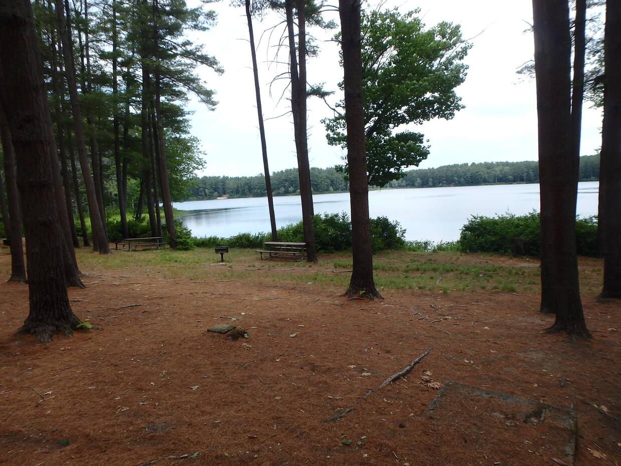 Lake Dennison shore access