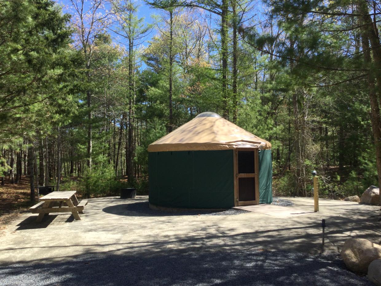 A yurt on a partially shaded site surrounded by pines.