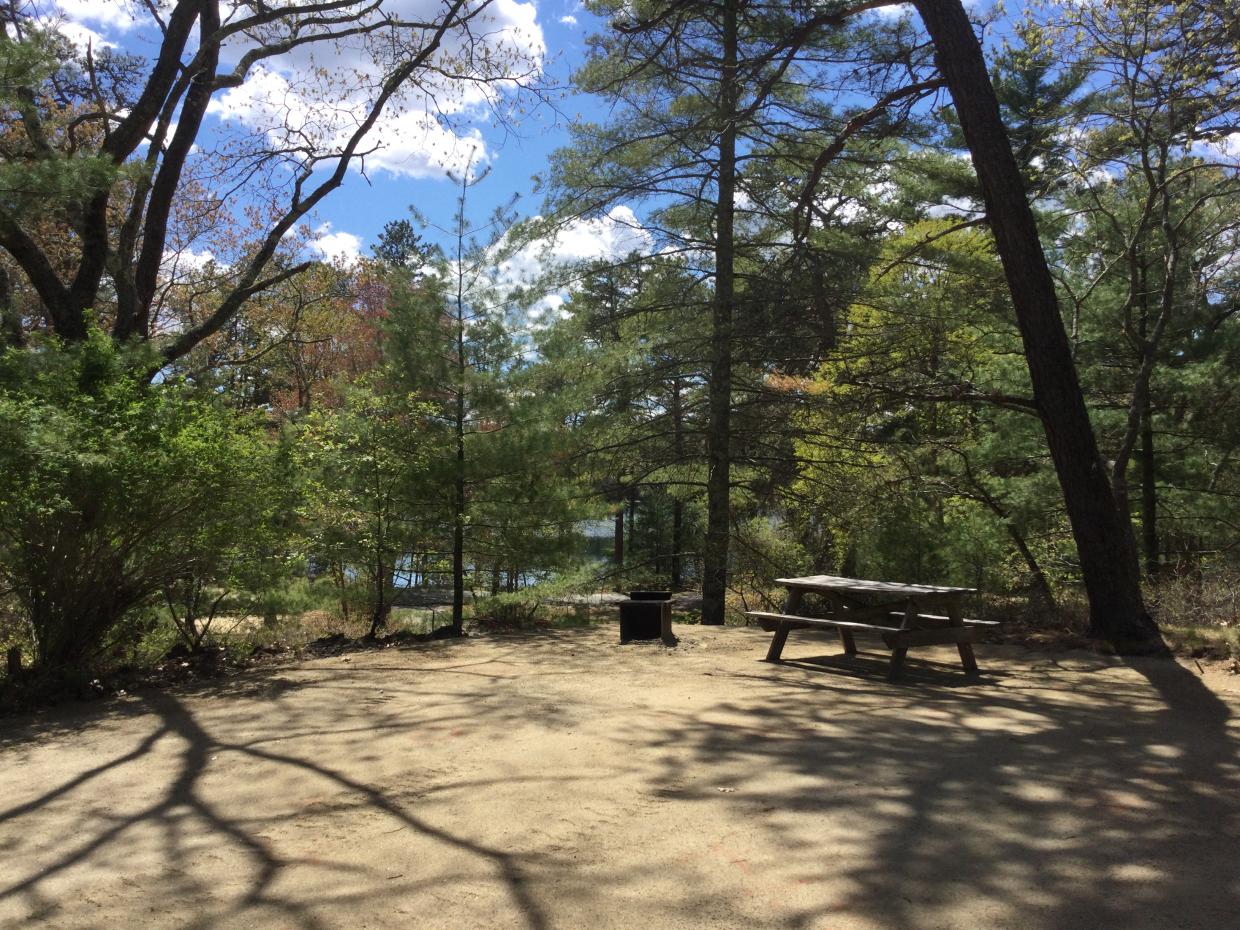 A partially shaded campsite with a lake visible through the trees in the background.