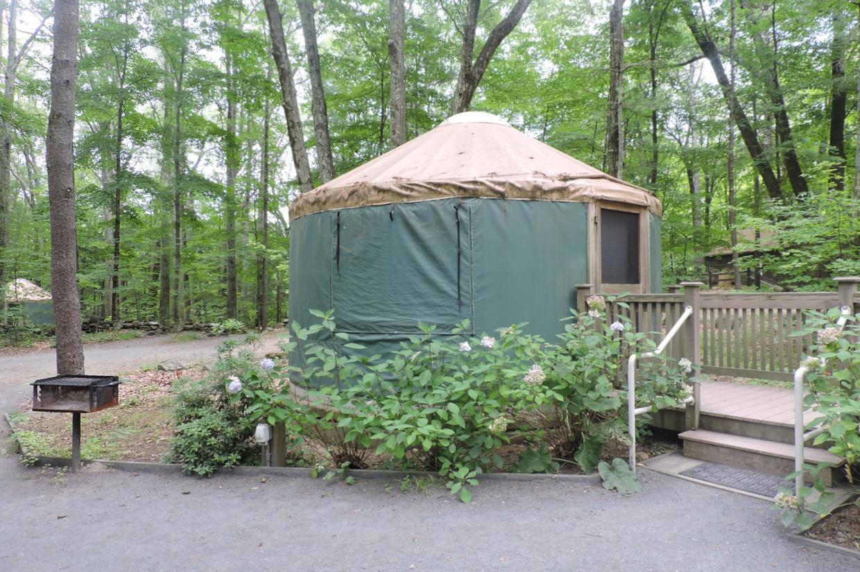 A yurt with a wooden ramp, surrounded by trees and hydrangeas.