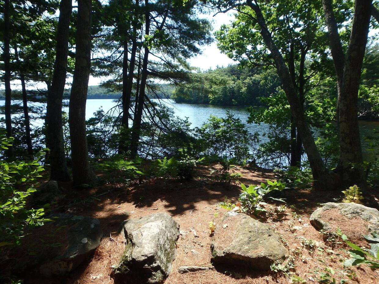 Fitchburg Reservoir Shore Access