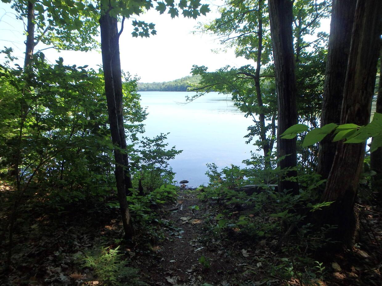 Fitchburg Reservoir Shore Access