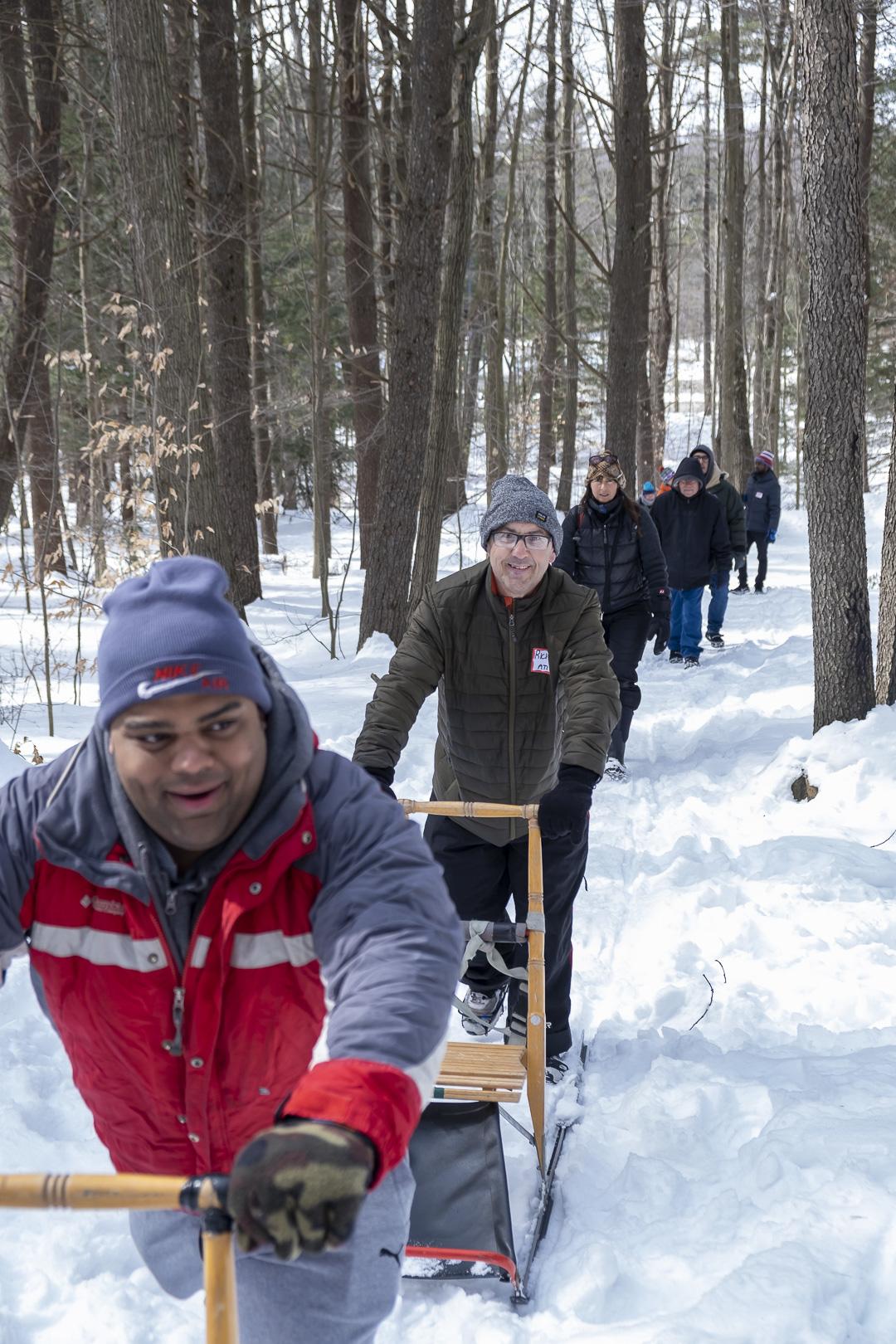 A  group of snowshoers on a trail in the woods. Twohikers are pushing kick sleds.