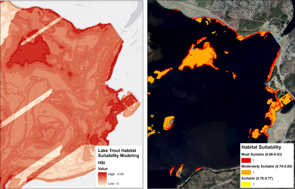 DCR DWSP GIS Lake Trout Modeling 