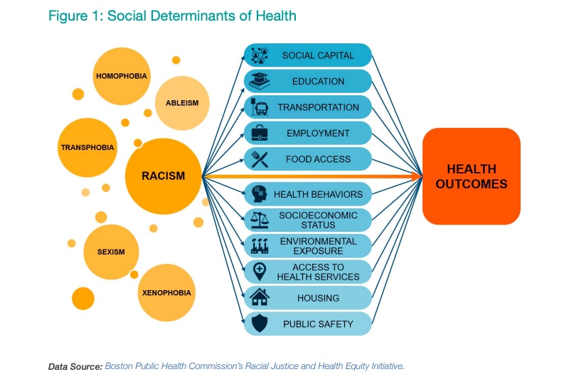 A diagram showing how racism and other systems of oppression impacts health outcomes through social capital, education, transportation, employment, food access, health behaviors, socioeconomic status, environmental exposure, access to health services, housing, public safety, and more.