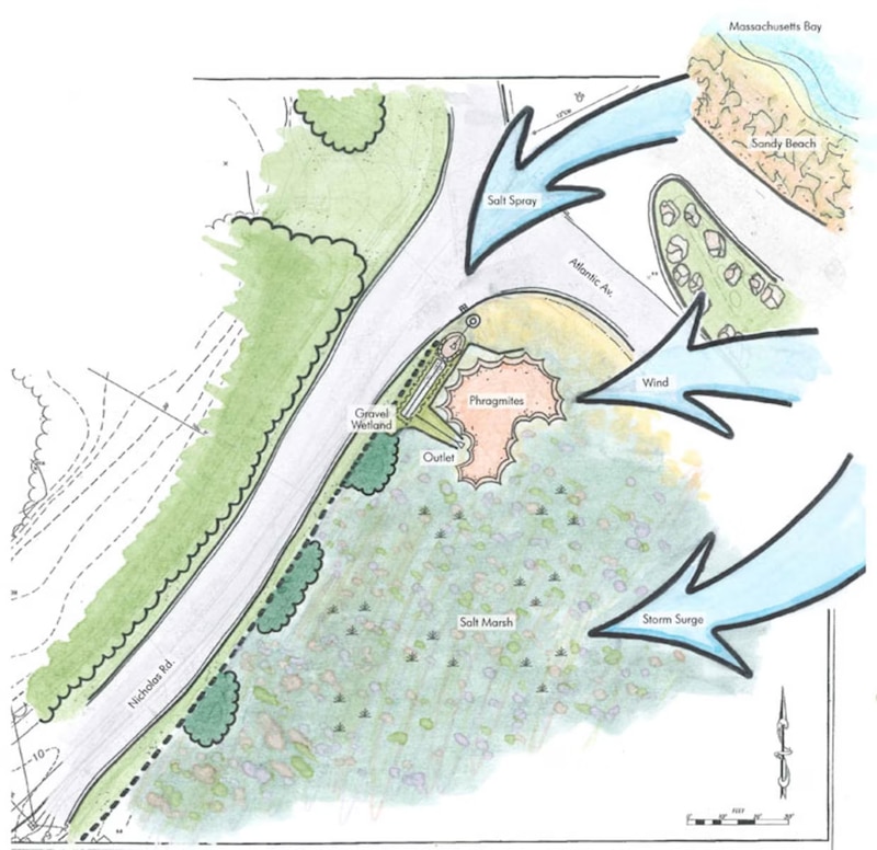 This conceptual design shows an existing coastal Best Management Practice (constructed wetland with subsurface infiltration chambers) to treat stormwater runoff in Cohasset, MA. The anticipated climate change vulnerabilities are wind, salt and sand impacts, high groundwater elevations and reduced outfall capacity. Recommended design modifications for a site like this would be the selection of salt and wind tolerant plant species and increasing the size of the stormwater pretreatment chamber and wetland area