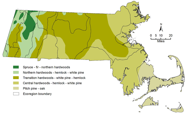 map: Massachusetts forest types
