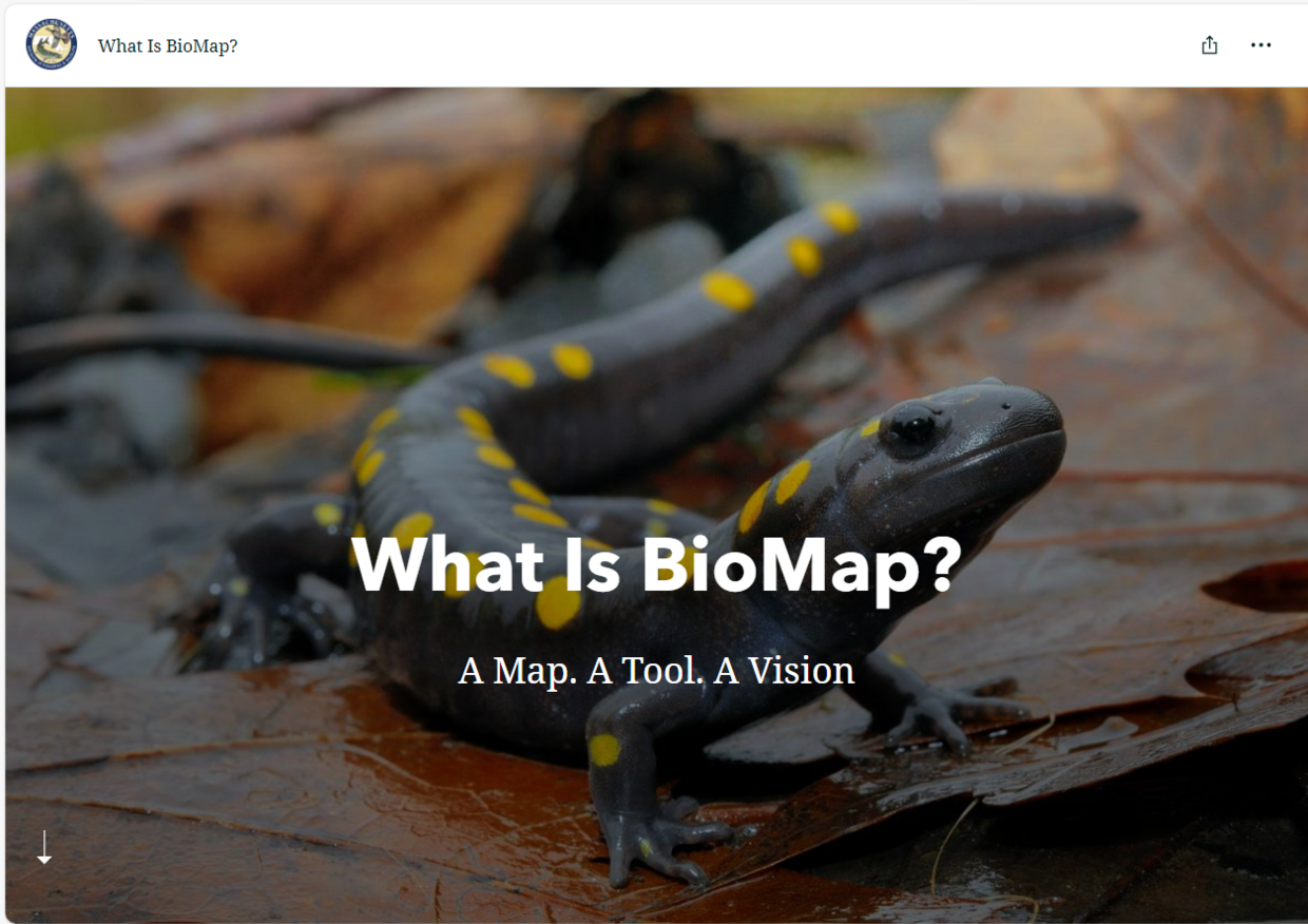 Storymap screenshot