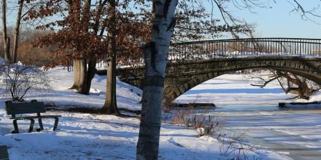 Snowy bridge over a frozen river, snow on the ground and trees in the foreground