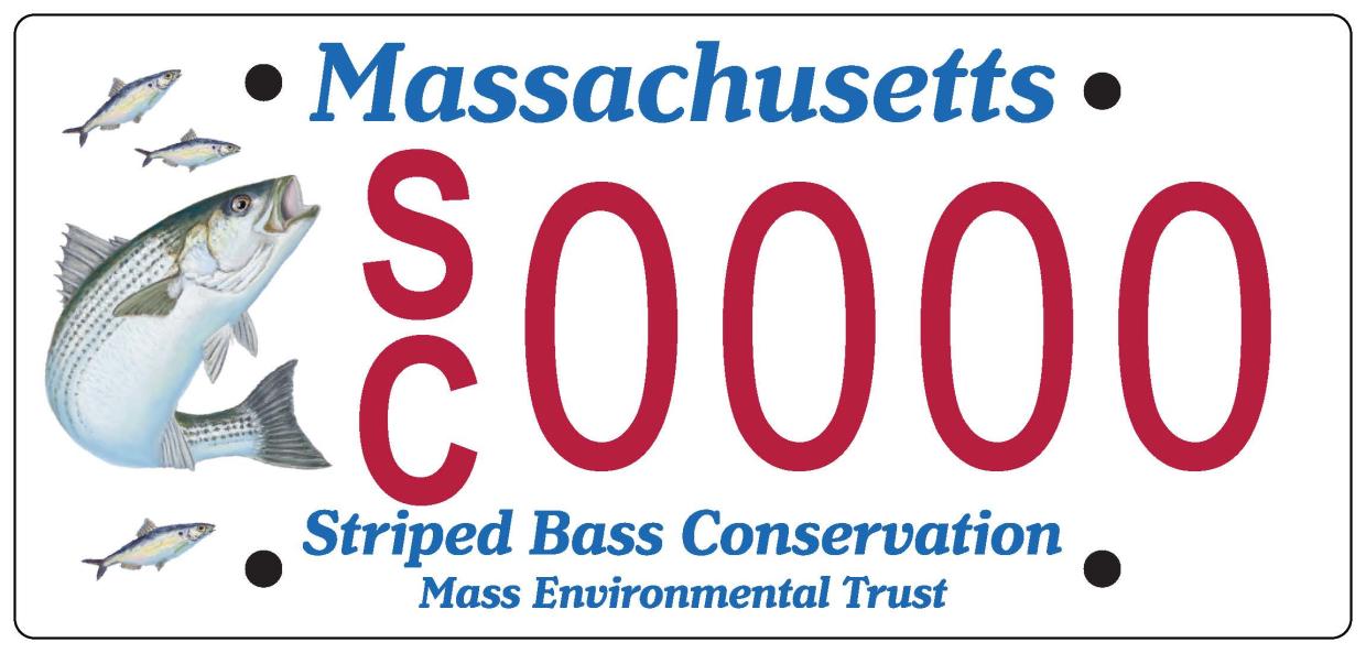 Striped Bass Conservation License Plate