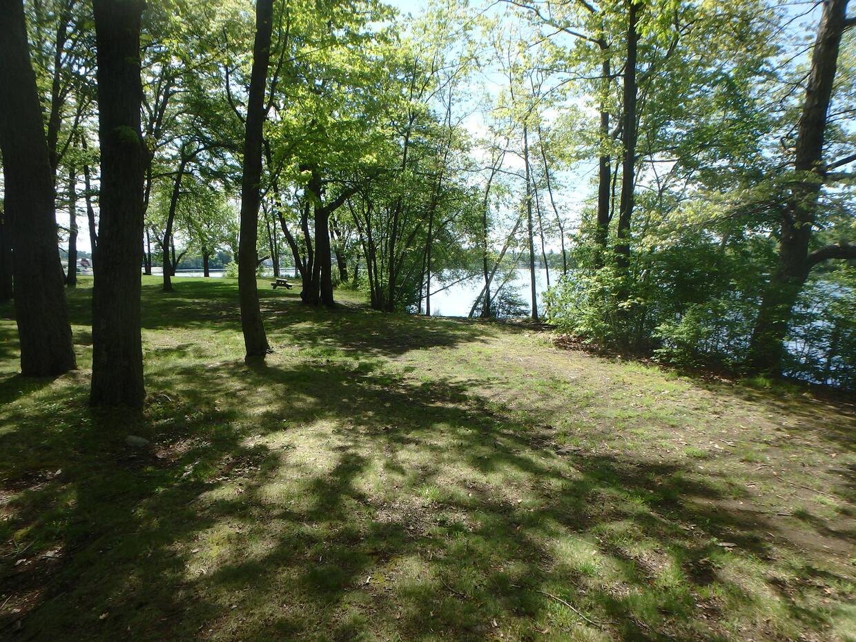 lake shore access