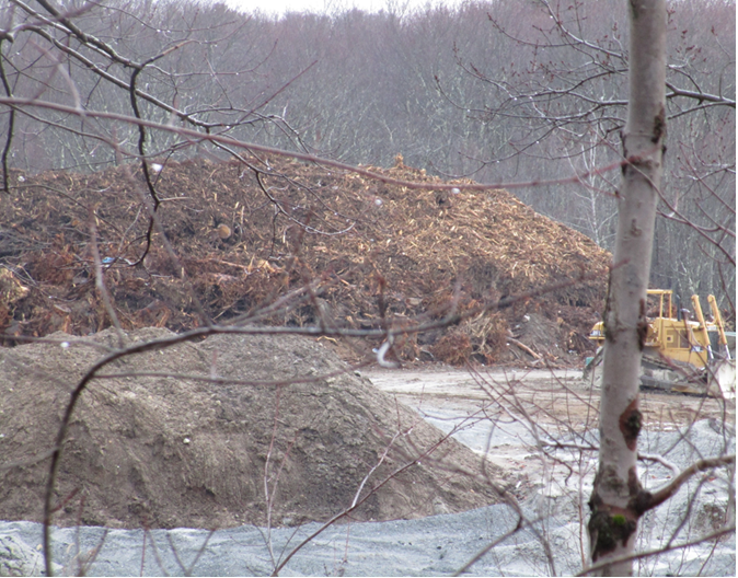 Large wood waste pile on Site.                                                                  