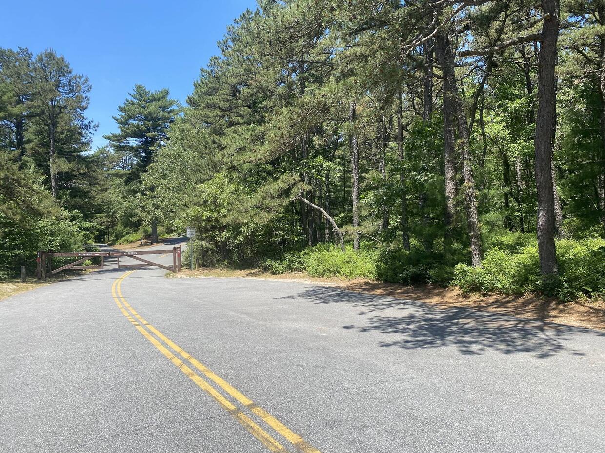 Street parking on Curlew Pond Road
