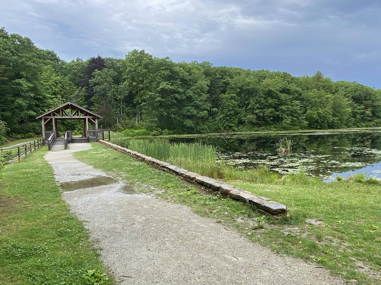Eames Pond access point