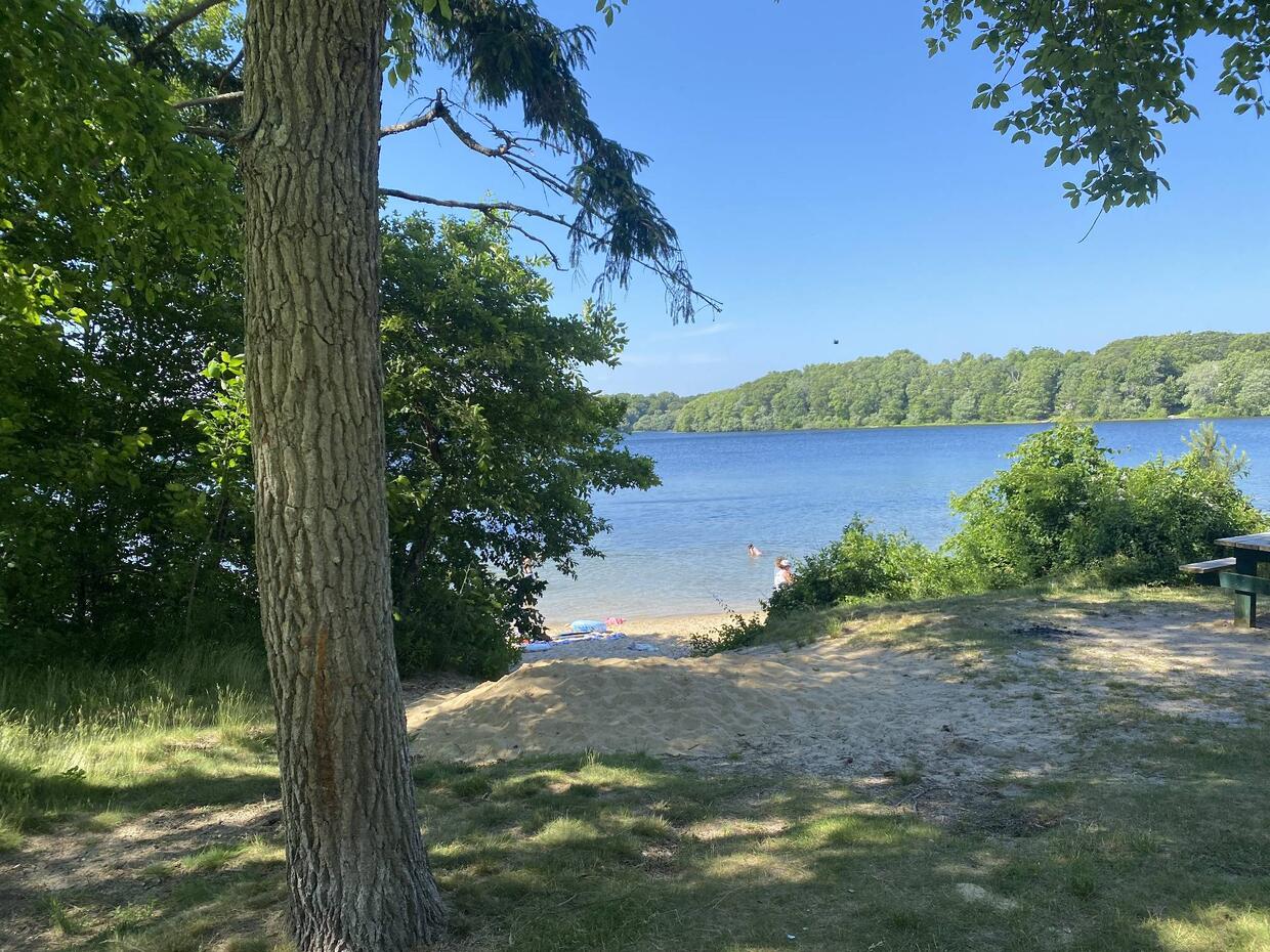 Shore access for Fresh Pond