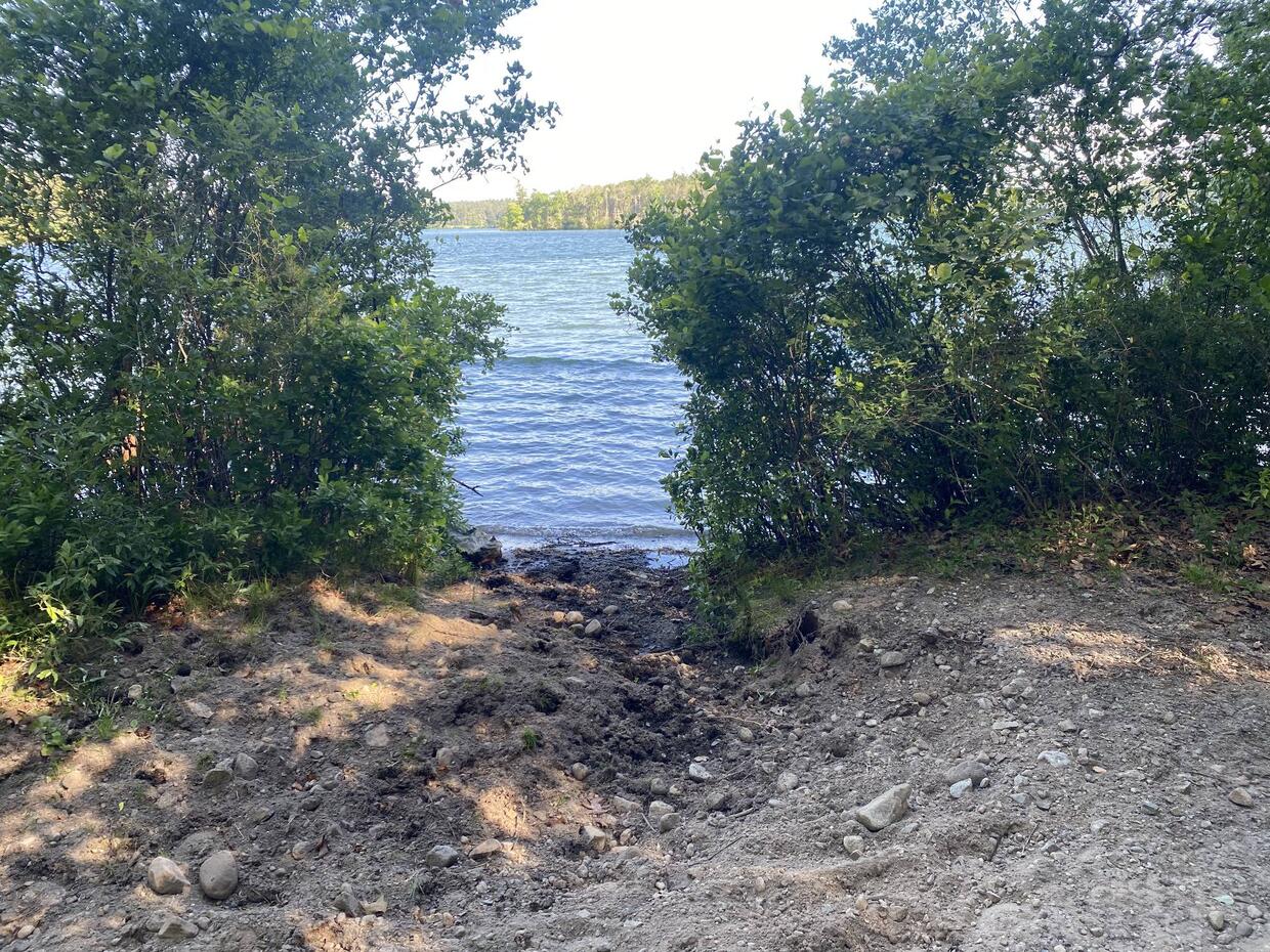 Shore access of Halfway Pond