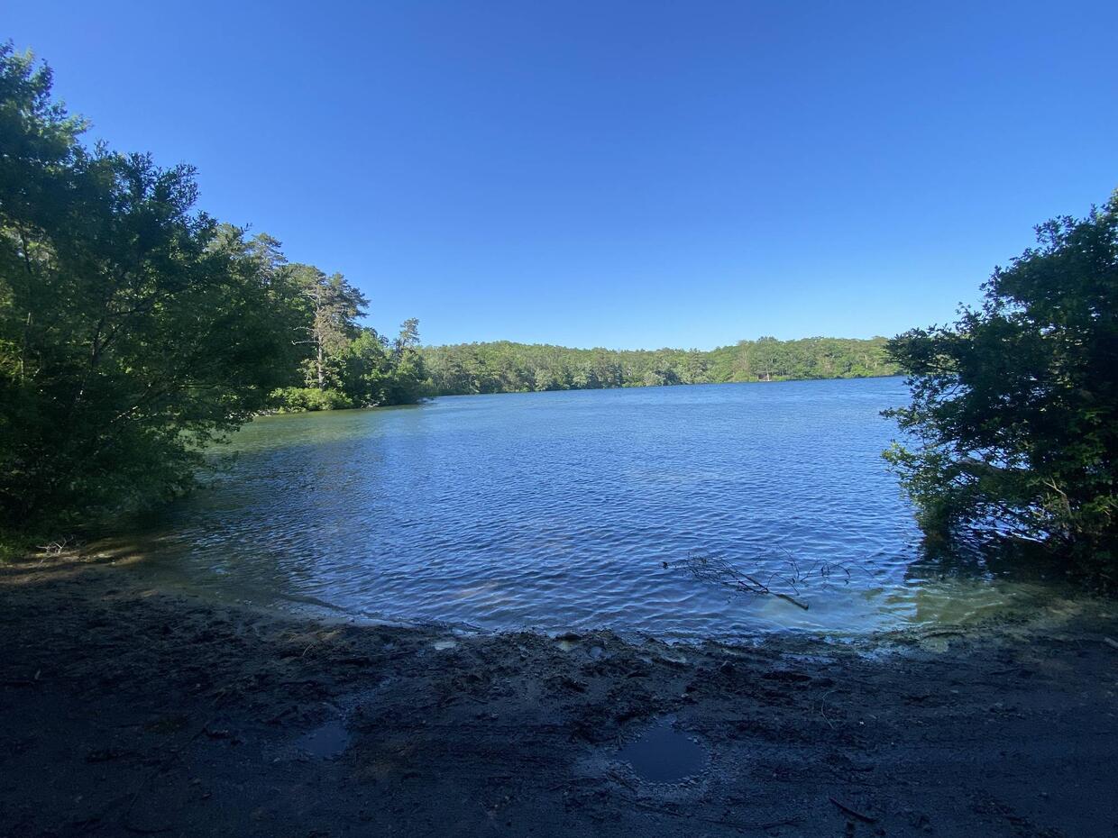 Shore access of Halfway Pond