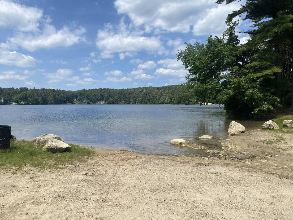sandy gravely area with a few large rocks leading into water