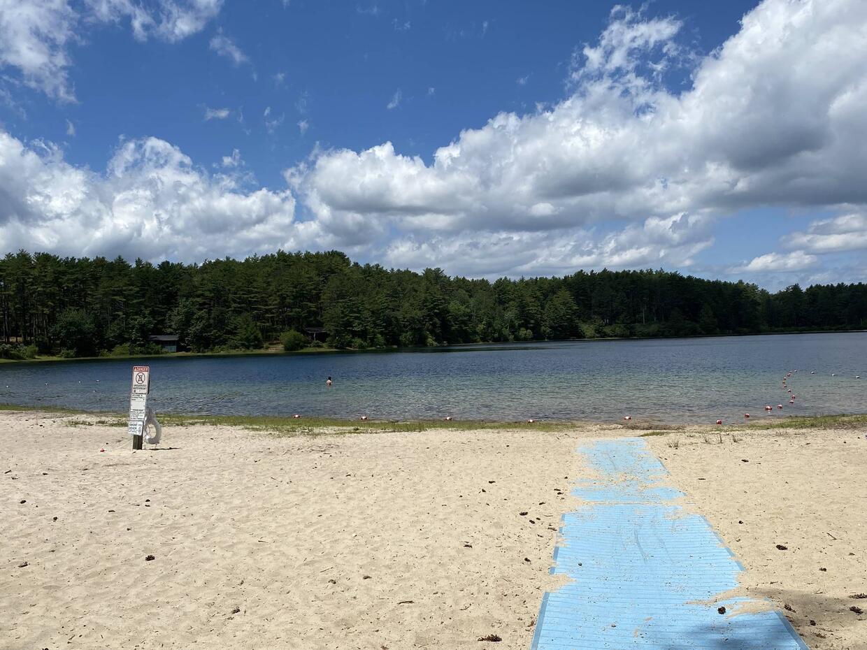 Shore access at Fearing Pond.