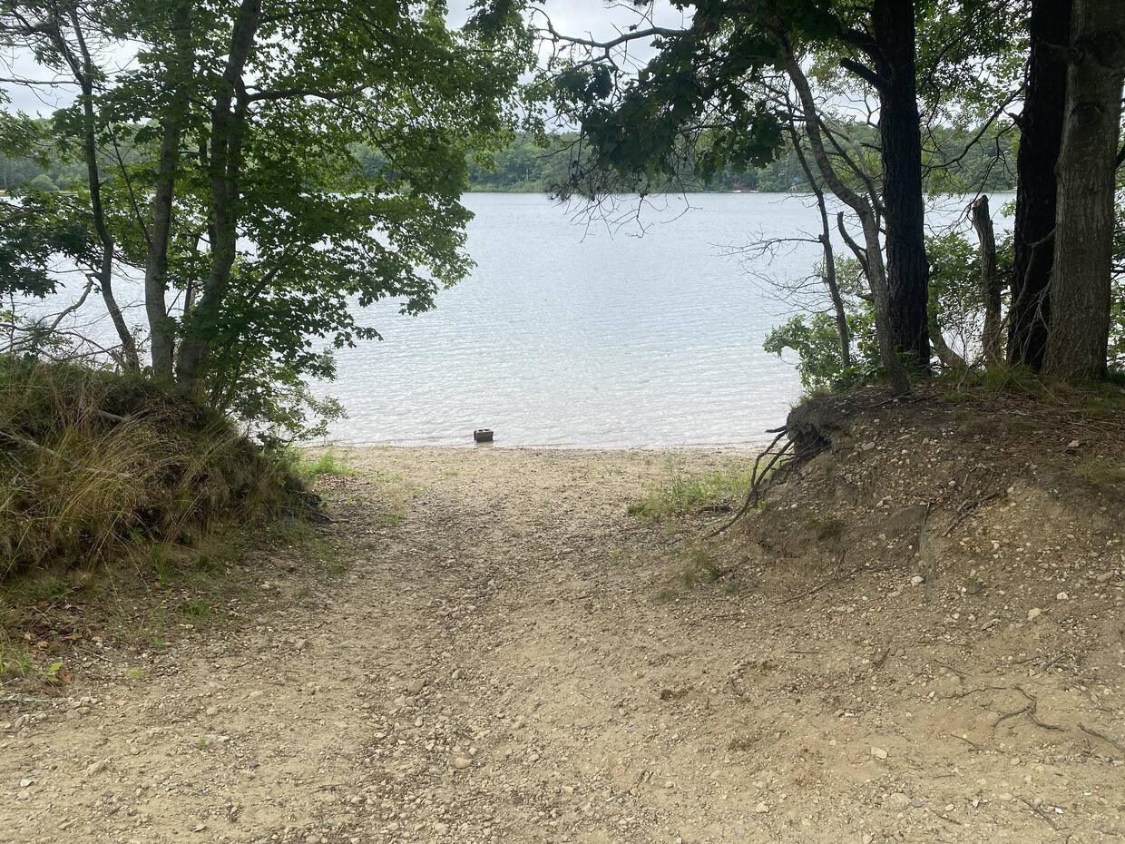 Shore access of Lawrence Pond.
