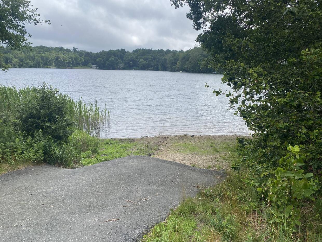 Pimlico pond shore access